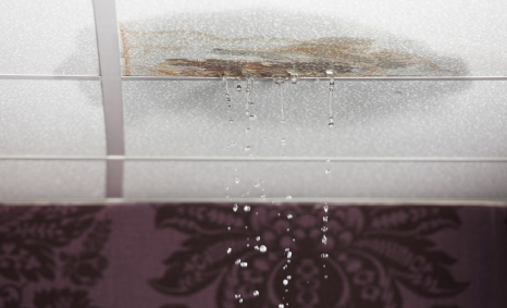 Plumber Hoppers Crossing